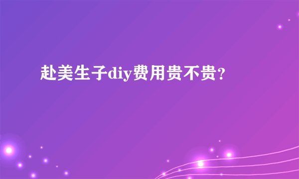 赴美生子diy费用贵不贵？