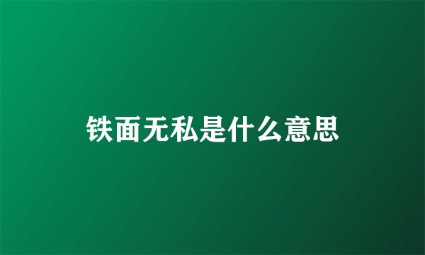 铁面无私是什么意思