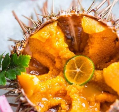 海胆事件店家称将起诉消费者！这到底是谁的错？