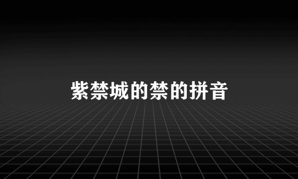 紫禁城的禁的拼音