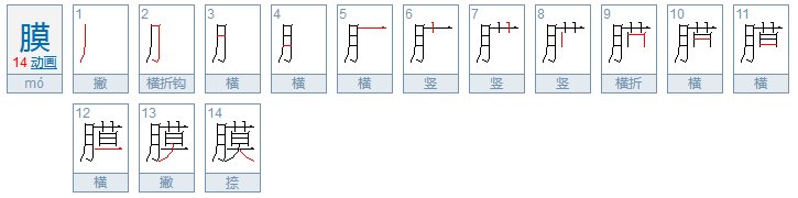 月字旁的字有哪些?