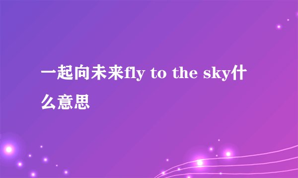 一起向未来fly to the sky什么意思
