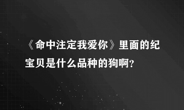 《命中注定我爱你》里面的纪宝贝是什么品种的狗啊？