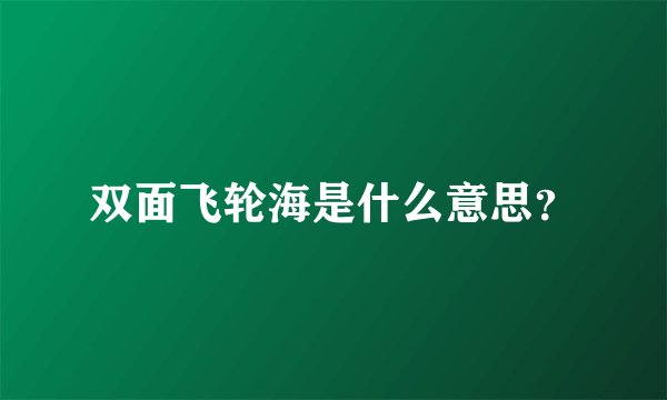 双面飞轮海是什么意思？