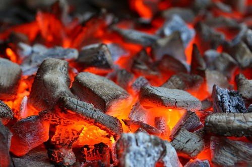 开个制木炭厂利润高吗