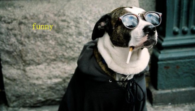 fun与funny的区别