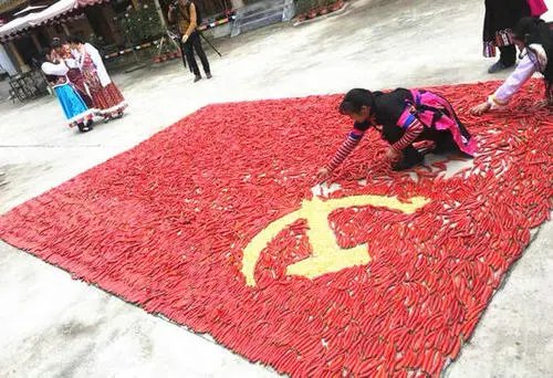 贵州遵义，95后女孩用辣椒摆出党旗，从中流露出了对祖国的哪些情感？