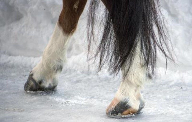 蹄能组什么词？