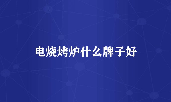电烧烤炉什么牌子好