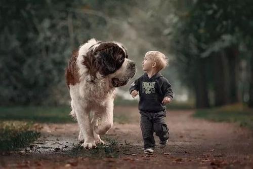 为什么说咬人的狗不叫?