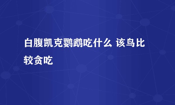 白腹凯克鹦鹉吃什么 该鸟比较贪吃