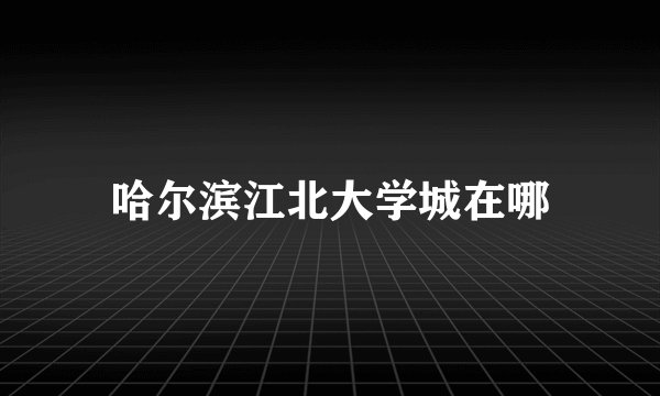 哈尔滨江北大学城在哪