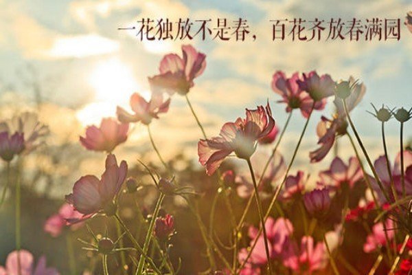 一花独放不是春，百花齐放春满园的意思是什么？