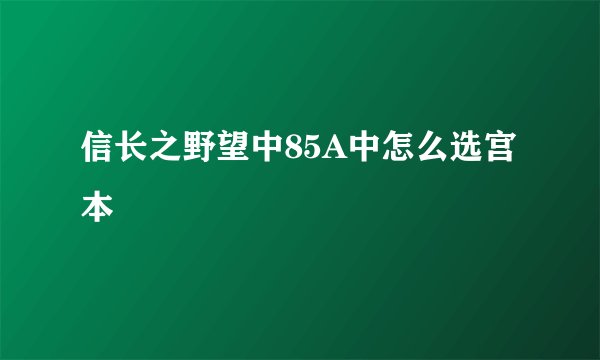 信长之野望中85A中怎么选宫本