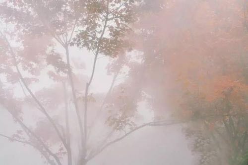 “久晴大雾必阴，久雨大雾必晴”是什么意思？