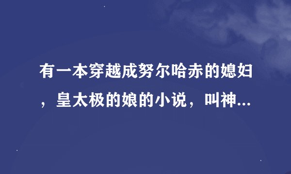 有一本穿越成努尔哈赤的媳妇，皇太极的娘的小说，叫神马名字？
