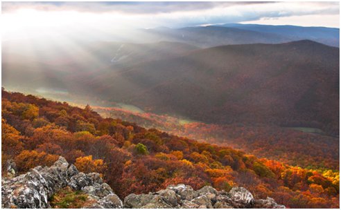 大雾山公园主要有什么样的特质？