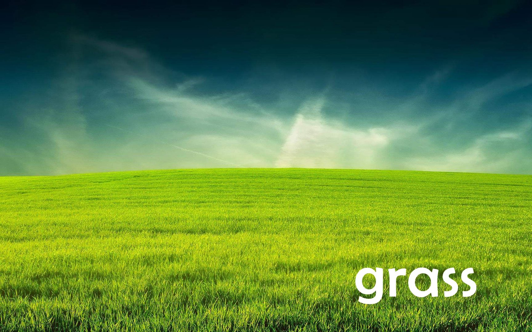 grass是可数名词还是不可数名词