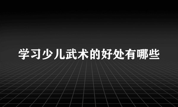 学习少儿武术的好处有哪些