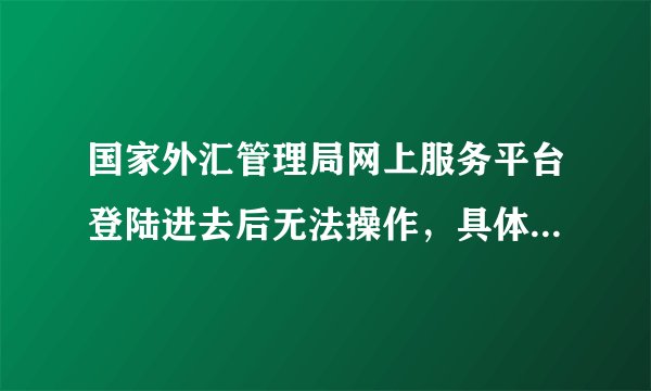 国家外汇管理局网上服务平台登陆进去后无法操作，具体情况如下描述。