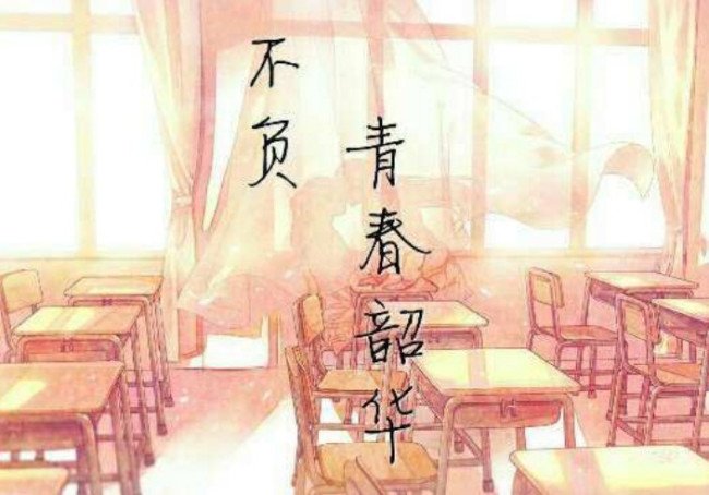 只争朝夕不负韶华中的韶华是什么意思？