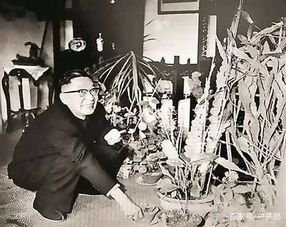 老舍简介（主要作品）