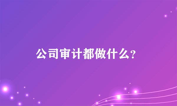 公司审计都做什么？