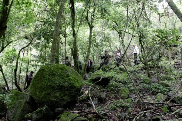 《西游记》里讲述过一个叫水猿大圣的水怪，这个妖怪是什么来历？