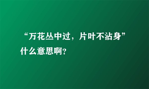 “万花丛中过，片叶不沾身”什么意思啊？