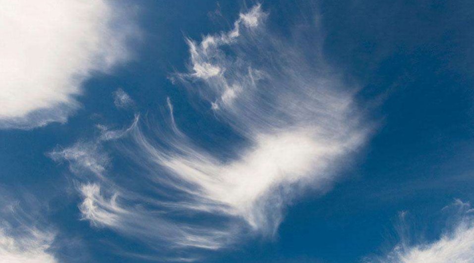 心若不动，风又奈何，你若不伤，世界无恙。是什么意思？