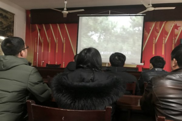 “四风”是中央八项的重要内容，“四风”指的是什么？