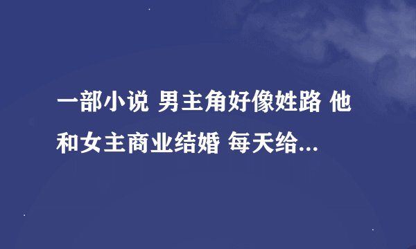 一部小说 男主角好像姓路 他和女主商业结婚 每天给女主的牛奶里都有避
