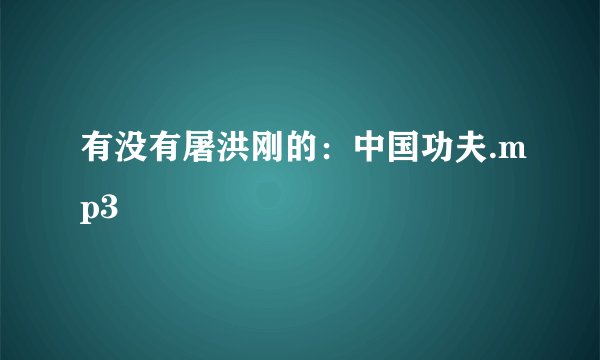 有没有屠洪刚的：中国功夫.mp3