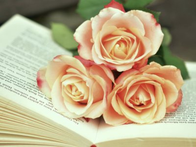 帮忙找生活中的反语句，小学生都能看懂，至少5句。