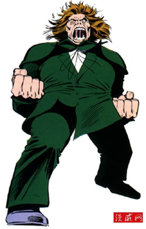 海德先生的人物简介