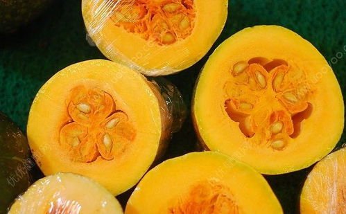 南瓜花是雄花还是雌花呢？该如何判断？