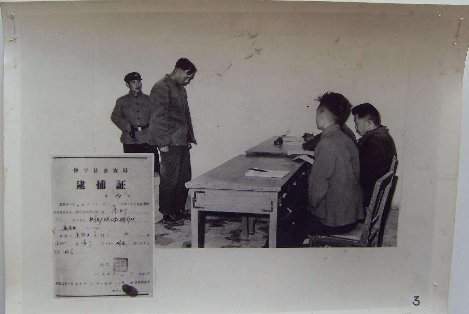 桃园经验的影响历史