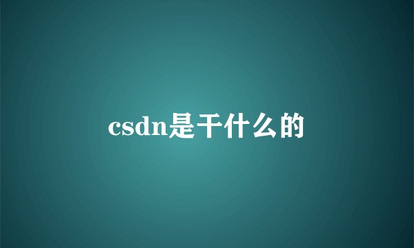 csdn是干什么的