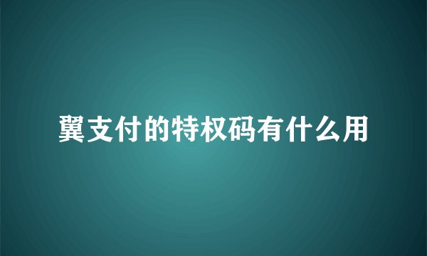 翼支付的特权码有什么用