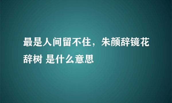 最是人间留不住，朱颜辞镜花辞树 是什么意思