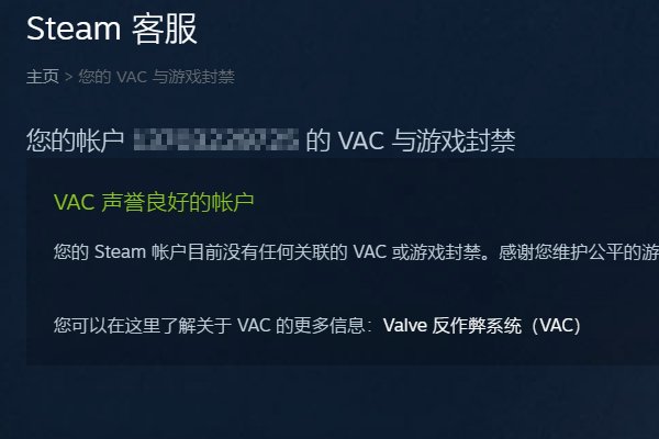 steam怎么查看VAC监控。设置里没看到啊