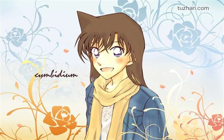 求名侦探柯南小兰h