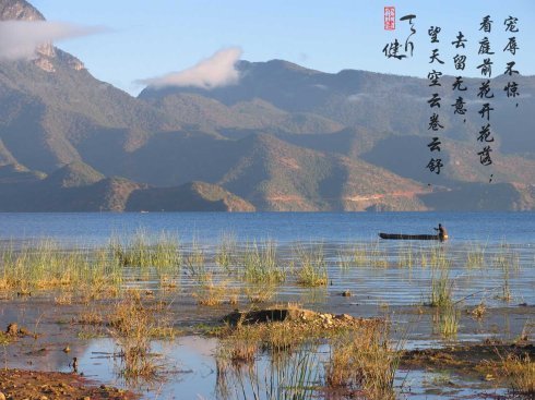 闲看花开花落 静看云卷云舒是什么意思？