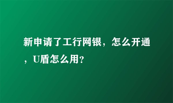 新申请了工行网银，怎么开通，U盾怎么用？