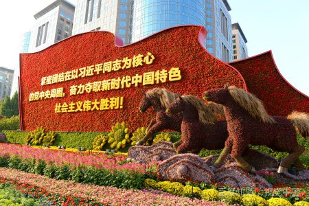 党的十八大以来新时代中国特色社会主义民族理论的新观点新提法包括哪些？