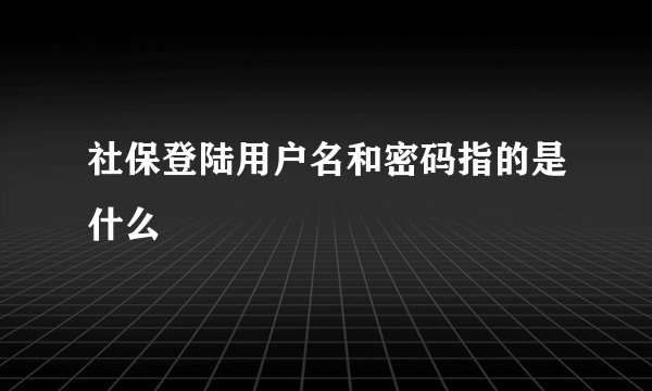 社保登陆用户名和密码指的是什么