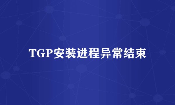 TGP安装进程异常结束
