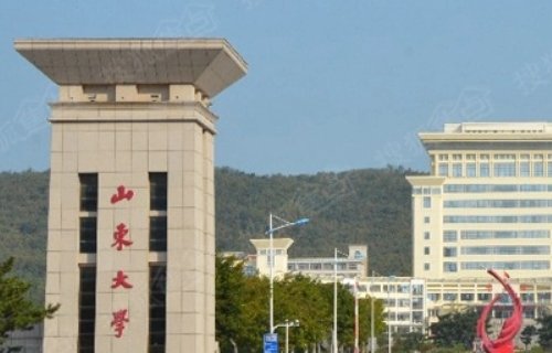 山东省大学排名