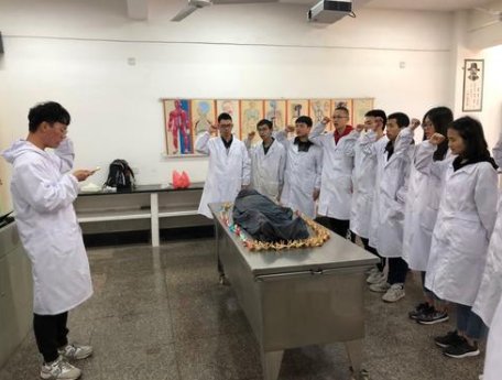 请问基础医学到底是干什么的啊?