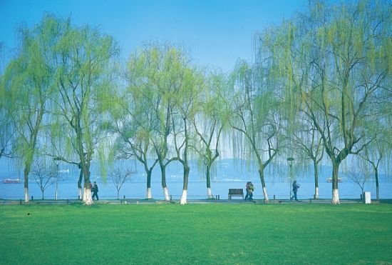 西湖十景是哪十景？